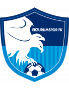 Erzurumspor FK